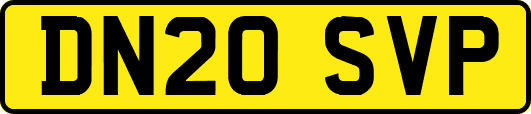 DN20SVP
