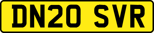 DN20SVR