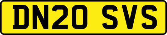 DN20SVS