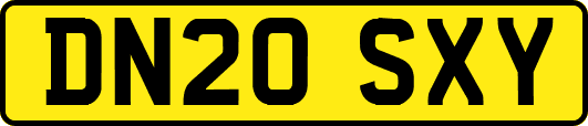 DN20SXY