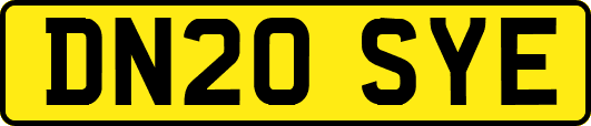 DN20SYE