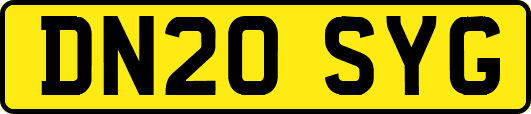 DN20SYG