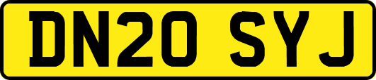 DN20SYJ