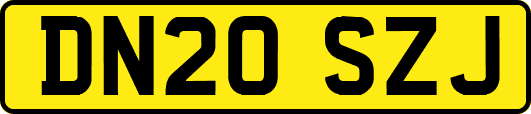 DN20SZJ
