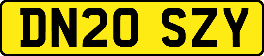 DN20SZY