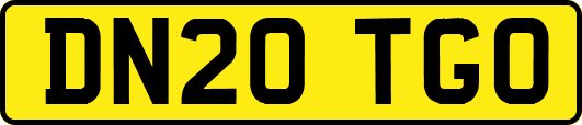 DN20TGO