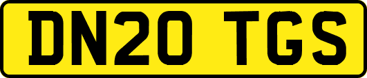 DN20TGS