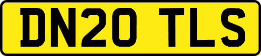 DN20TLS