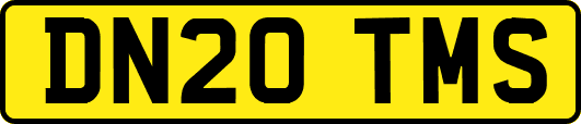 DN20TMS
