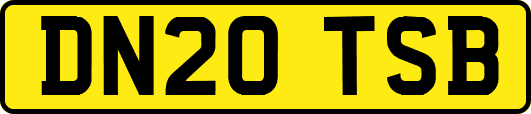 DN20TSB