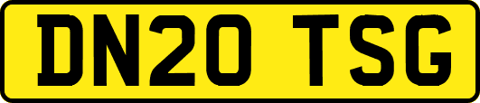 DN20TSG