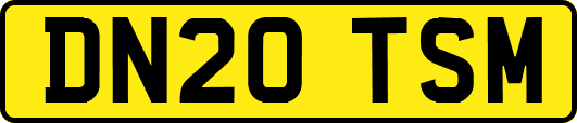 DN20TSM