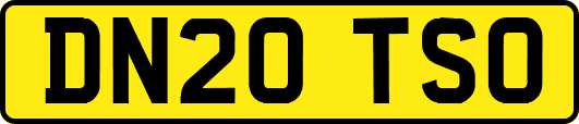 DN20TSO