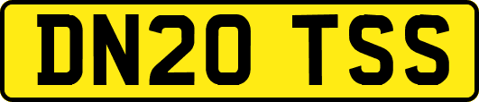 DN20TSS