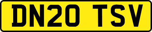 DN20TSV