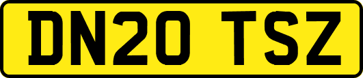 DN20TSZ