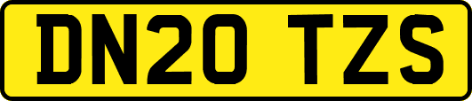 DN20TZS