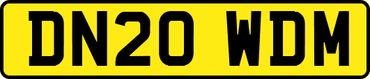 DN20WDM