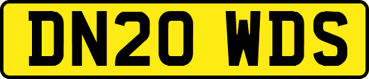 DN20WDS