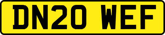 DN20WEF