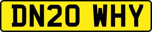 DN20WHY