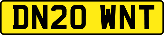 DN20WNT