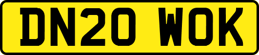 DN20WOK