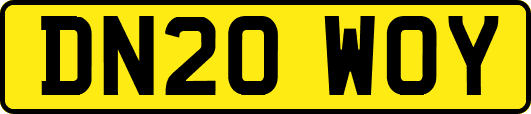 DN20WOY