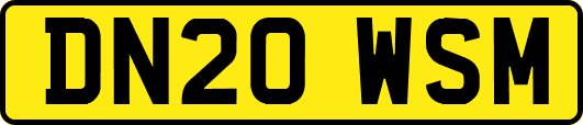 DN20WSM