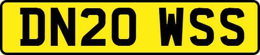 DN20WSS