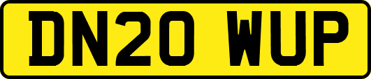 DN20WUP