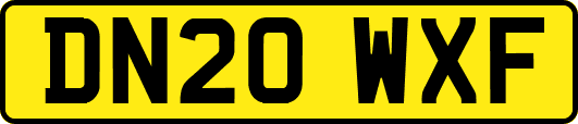 DN20WXF