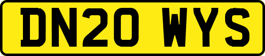 DN20WYS
