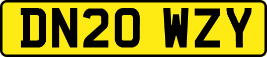 DN20WZY