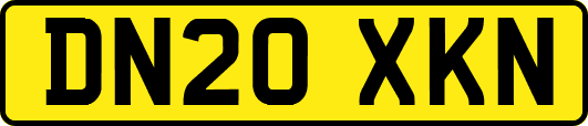 DN20XKN