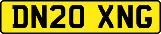 DN20XNG