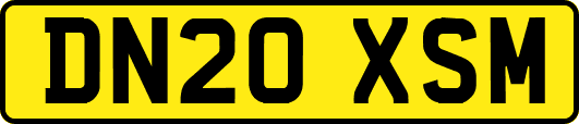 DN20XSM
