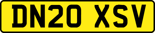 DN20XSV