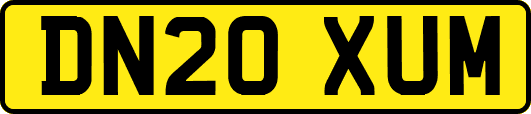 DN20XUM