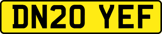 DN20YEF