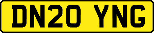 DN20YNG