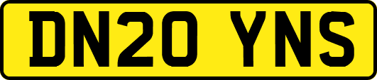 DN20YNS