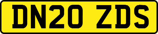 DN20ZDS