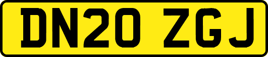 DN20ZGJ