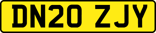DN20ZJY