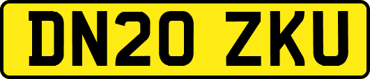 DN20ZKU