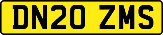 DN20ZMS