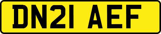 DN21AEF