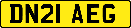 DN21AEG