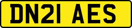DN21AES